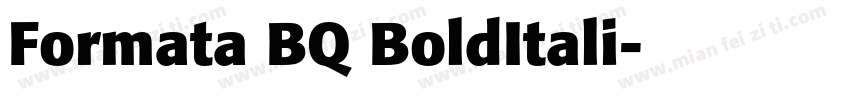 Formata BQ BoldItali字体转换